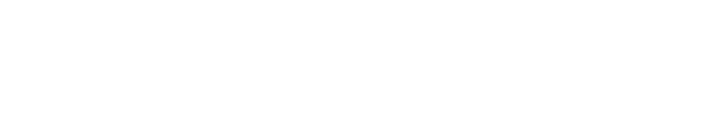 DELTA SHIPPING